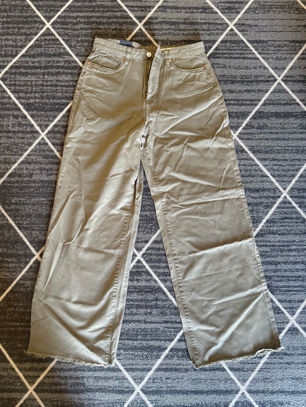 Blank NYC The Franklin Ribcage Wide Leg Pants in Olive
